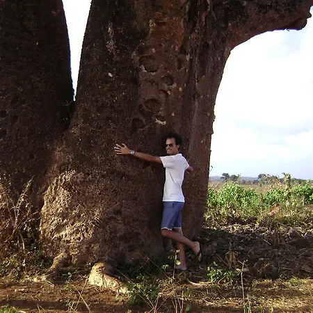 Beni Benius Cagliari